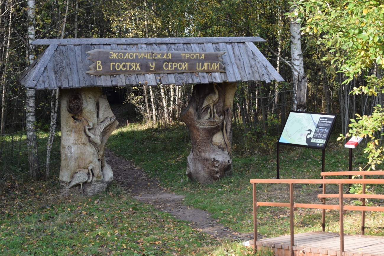 В гостях у серой цапли - фото 1